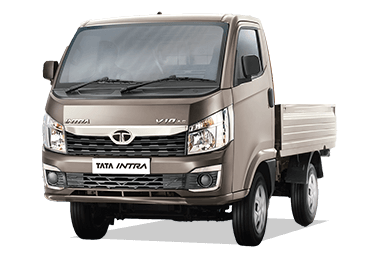 Tata Ace Gold Petrol